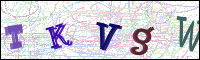 Image Verification